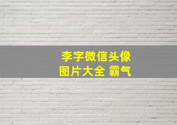 李字微信头像图片大全 霸气